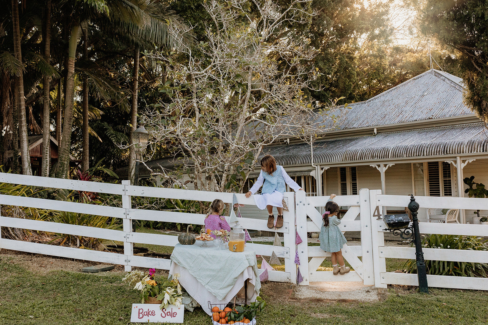 Winter Collection 2024