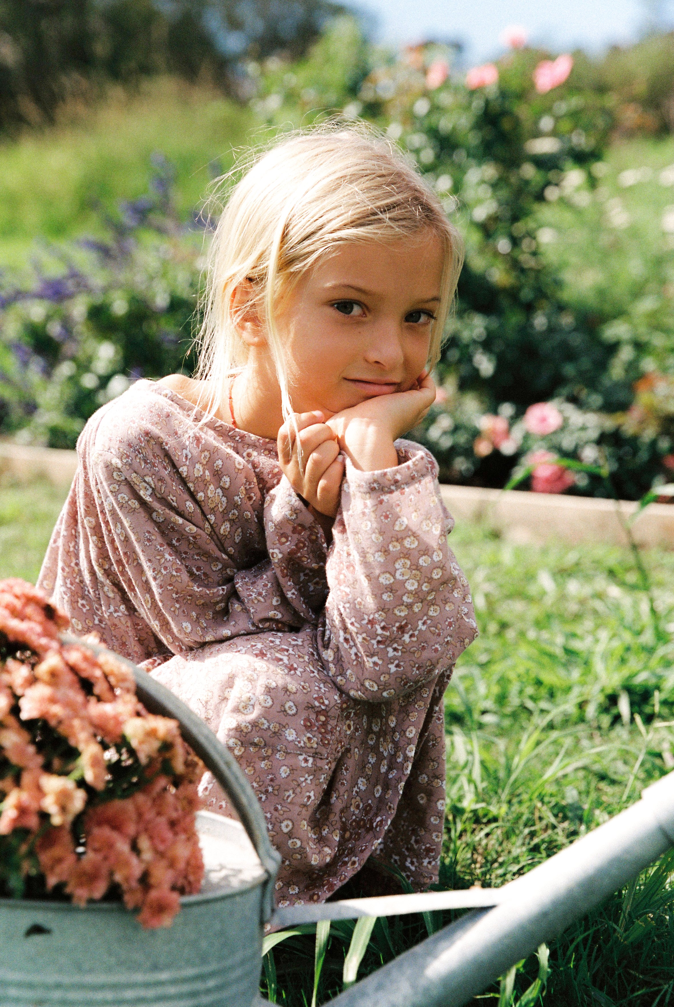 Auguste Dress in Rosewood Vintage Flower