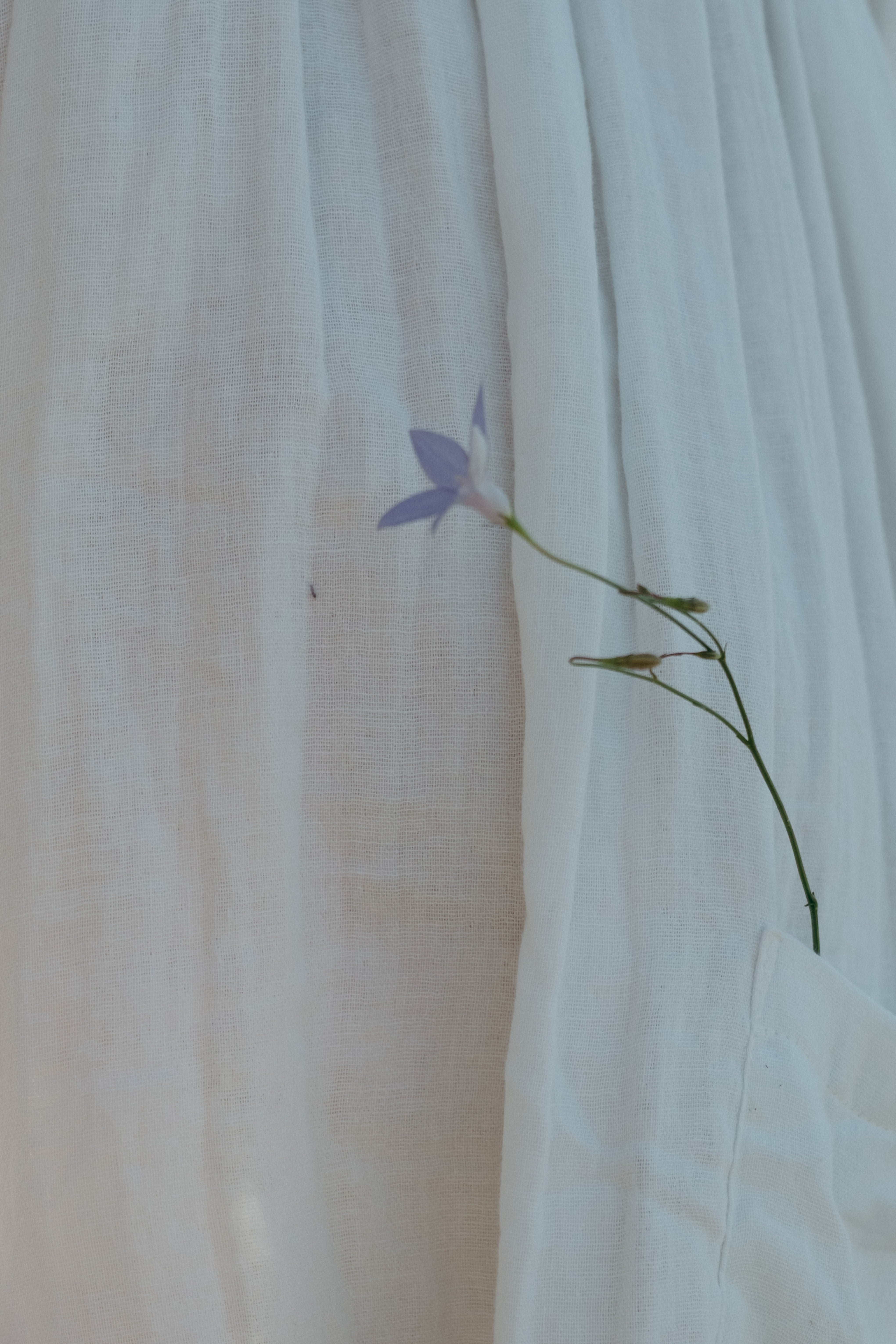 Pocket Smock Dress in Marshmallow