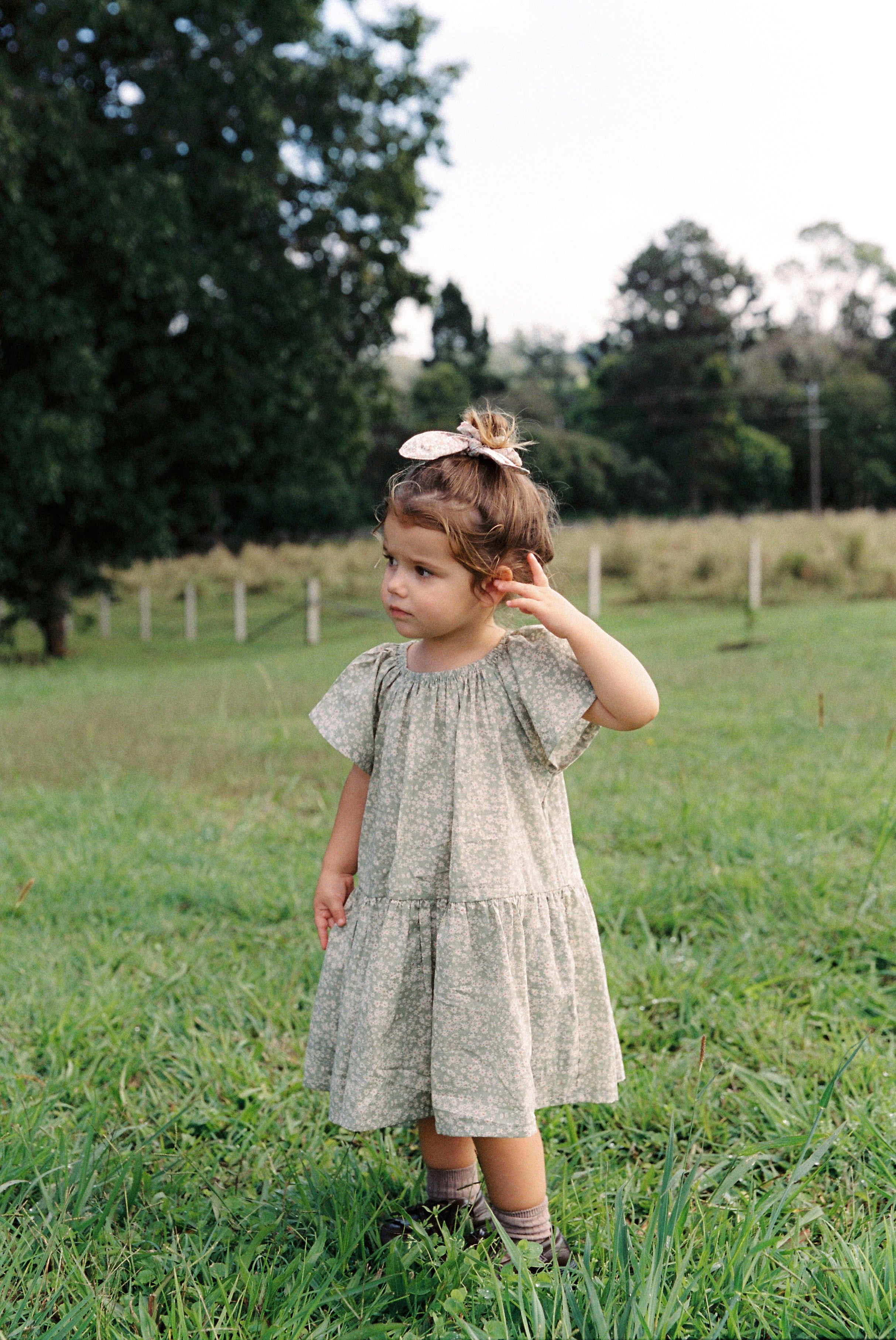 Flutter Dress in Sage Butterflies