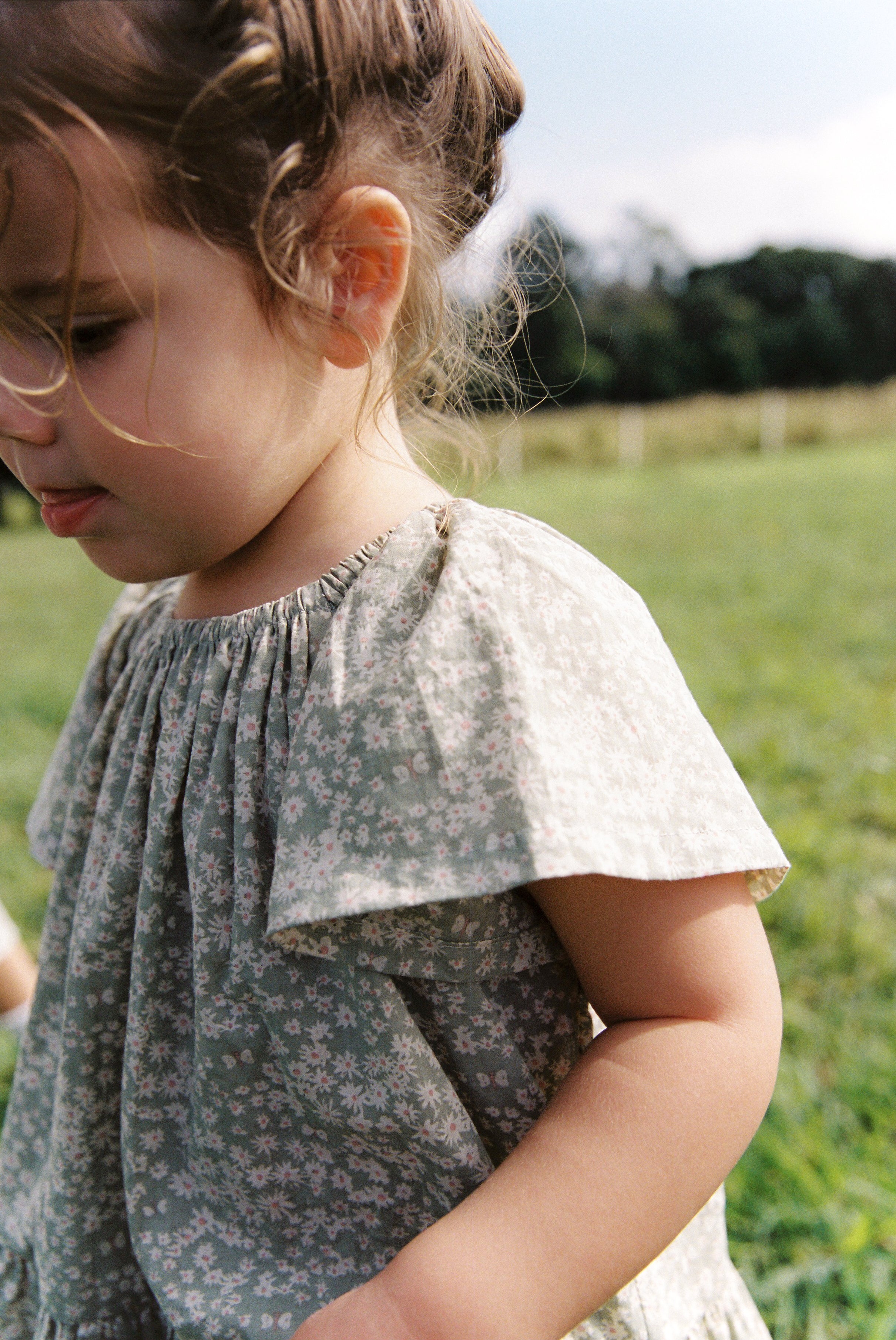 Flutter Dress in Sage Butterflies