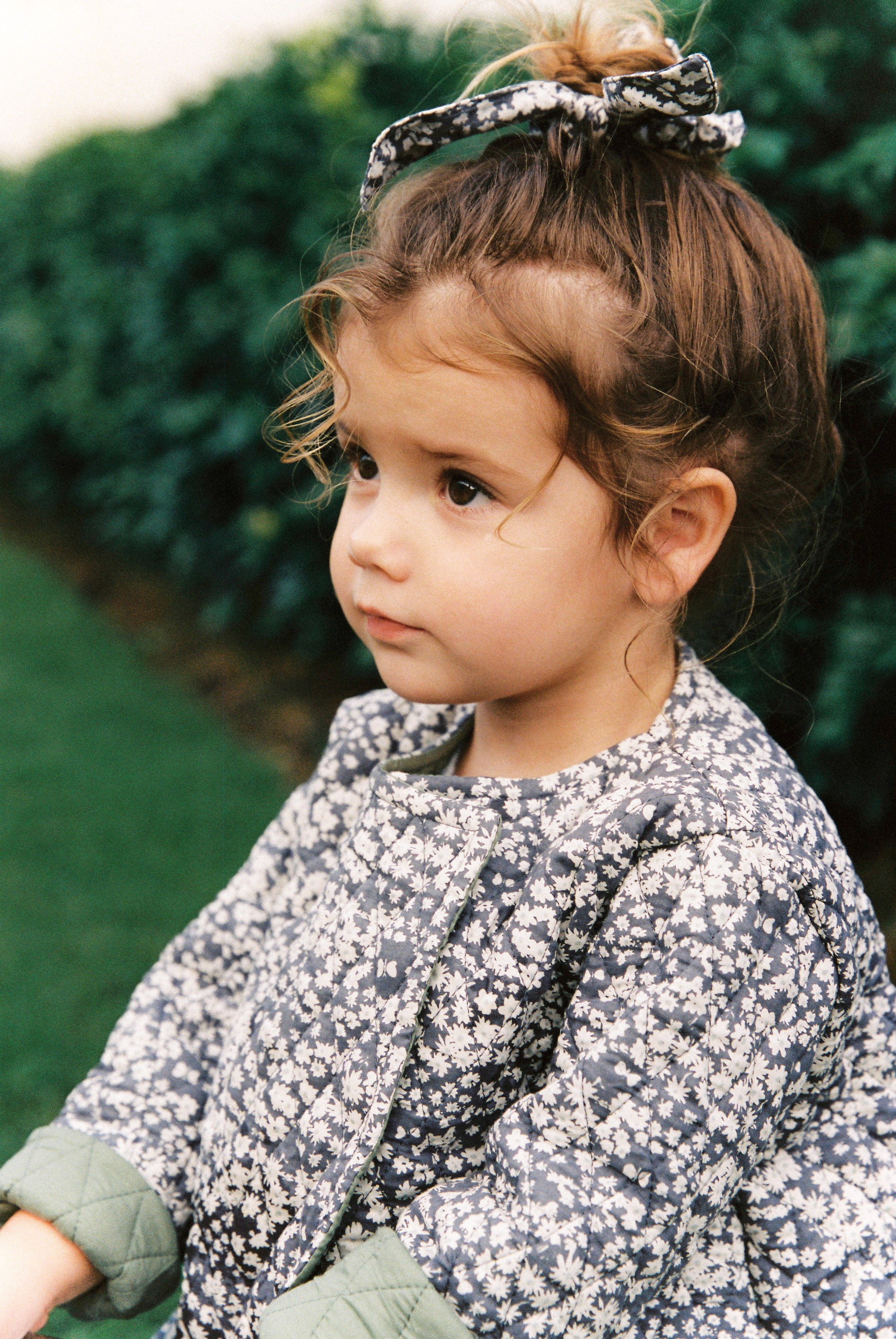 Quilted Jacket in Midnight Butterflies