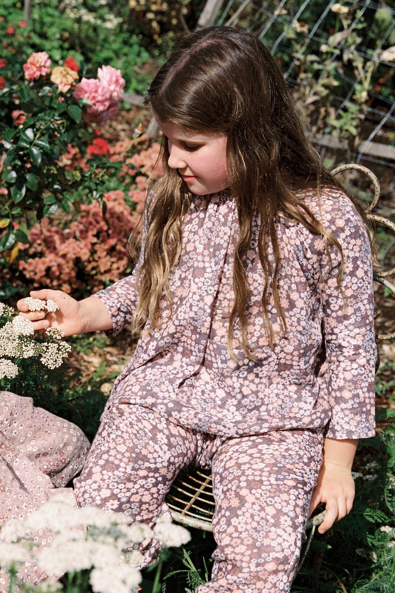 Sloucho Pant in Burgundy Japan Flower