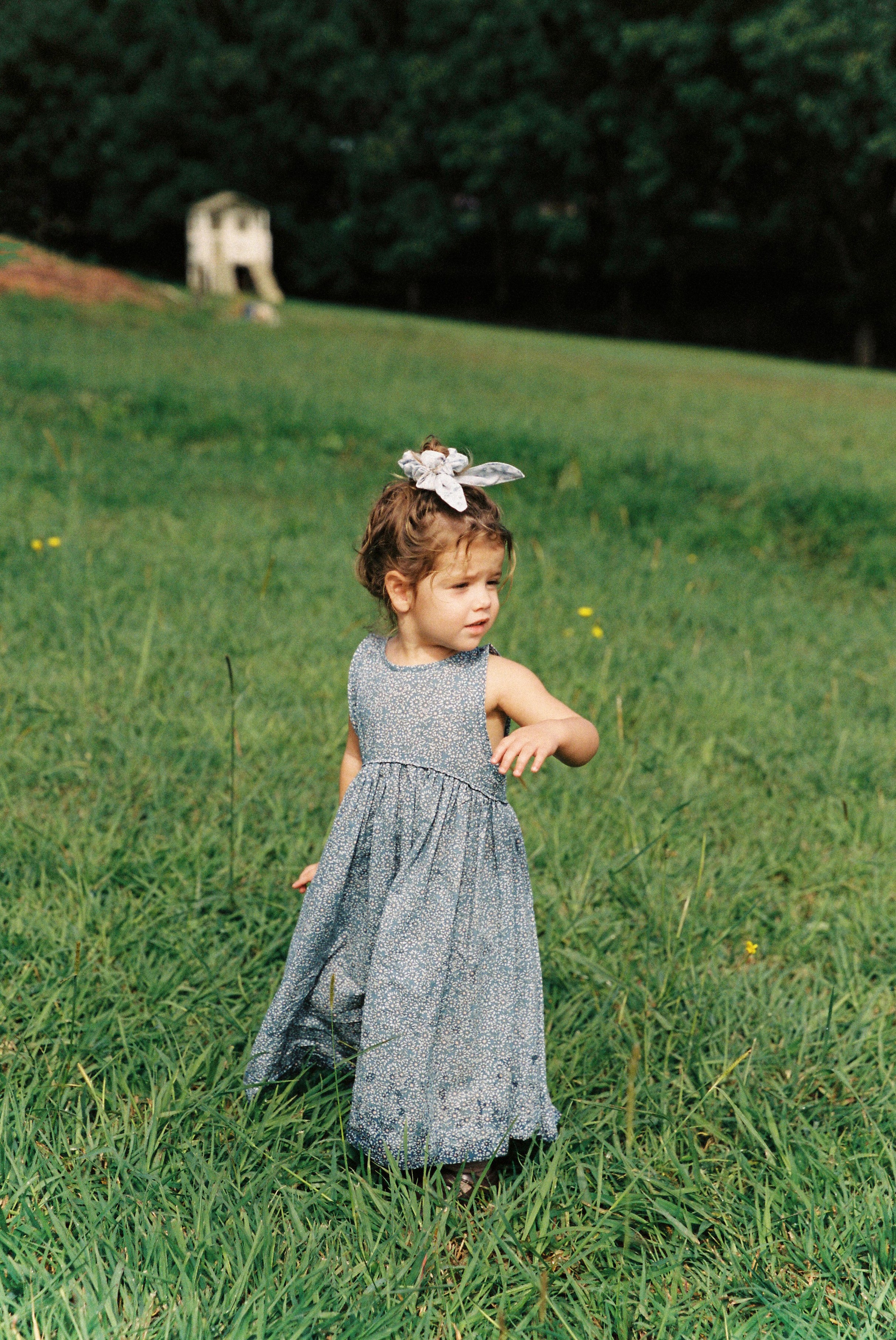 Swirl Dress in Ocean Blue Cotton Buds - printebebe.com
