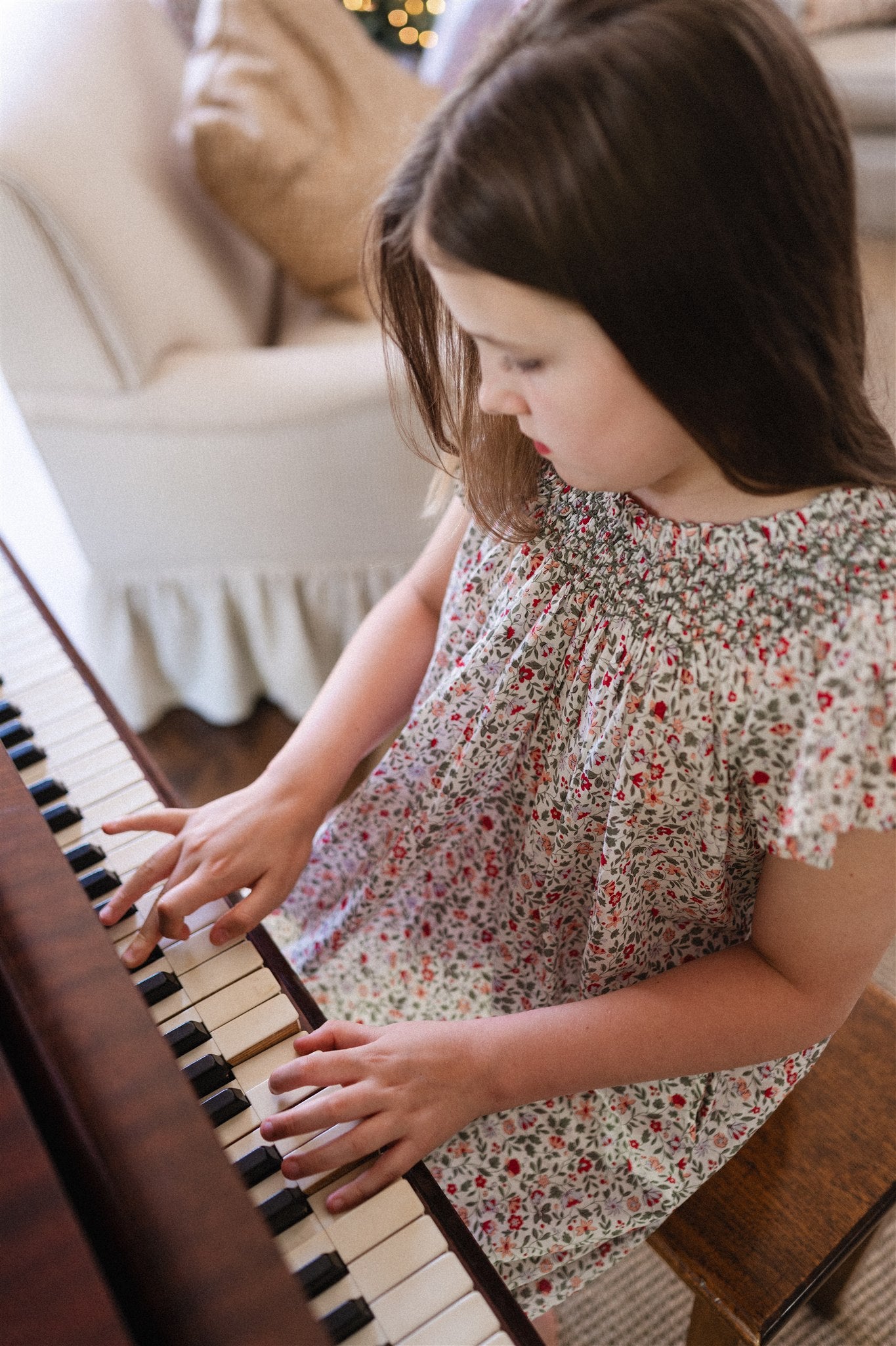 Clara Dress in Berry Meadow Ditsy